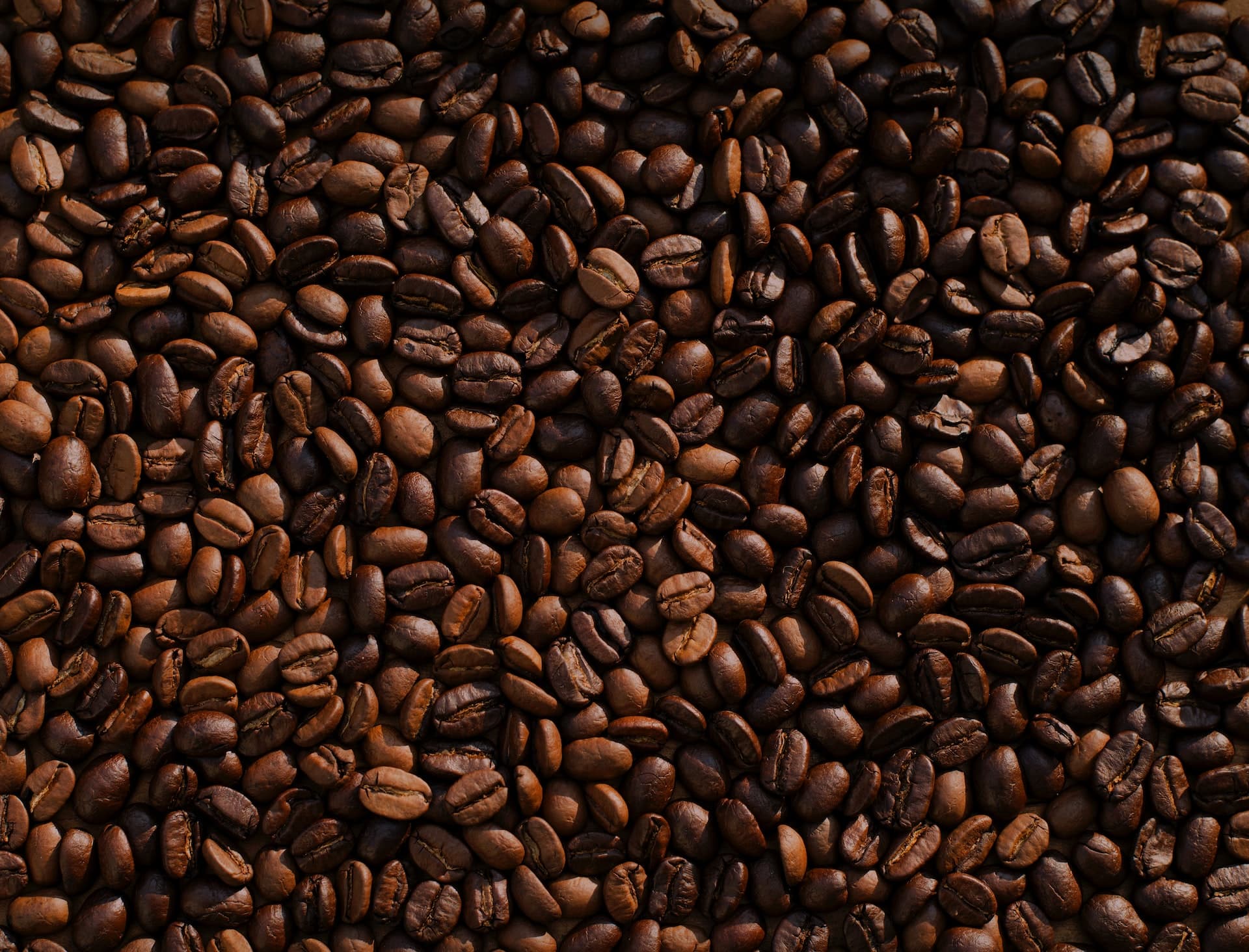 buna-company-image